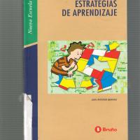 ESTRATEGIAS DE APRENDIZAJE<br /><br />
